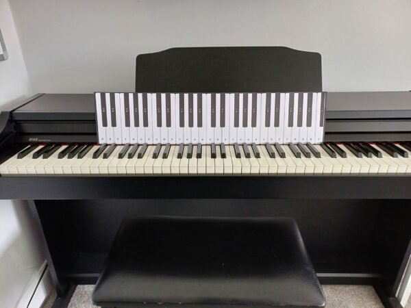 49 Note Piano Template with Letter Names